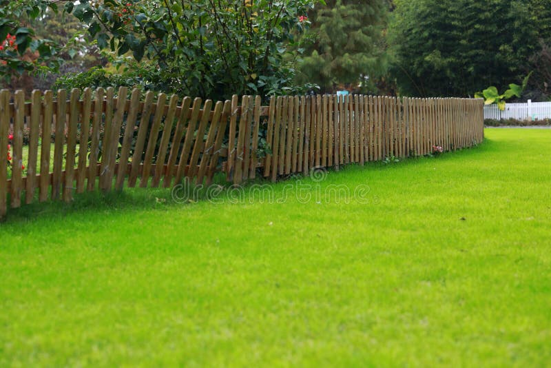 Árvore da grama verde e da cerca, close up disparado na grama verde imagem de stock royalty free