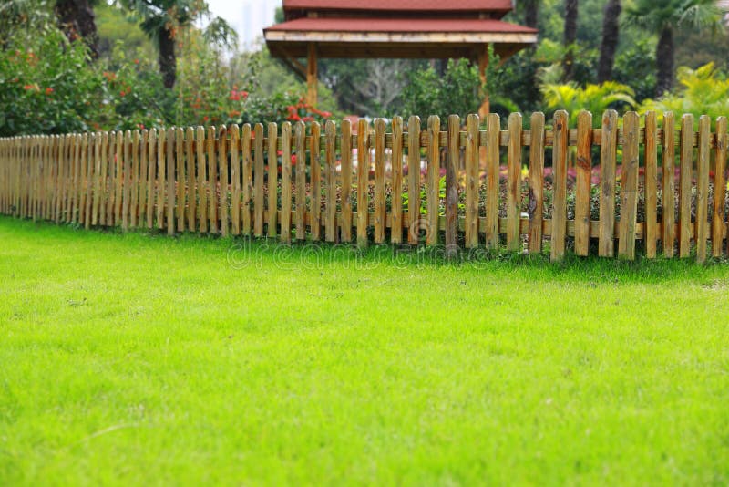 Árvore da grama verde e da cerca, close up disparado na grama verde imagens de stock