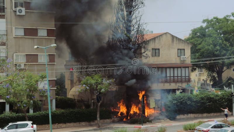 A árvore de cipreste ardente em chamas de ardência no quintal de uma casa em consequência de procura um caminho mais curto