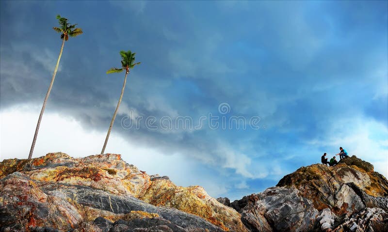 Árvore de coco na rocha da praia fotografia de stock royalty free Árvore de coco na rocha da praia fotografia de stock royalty free