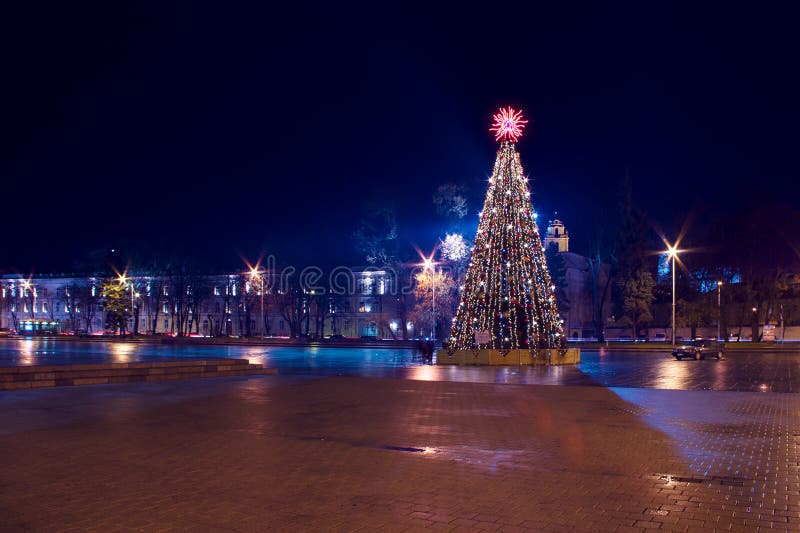 Árvore de Natal com luzes em Vilnius Lithuania imagens de stock Árvore de Natal com luzes em Vilnius Lithuania imagens de stock