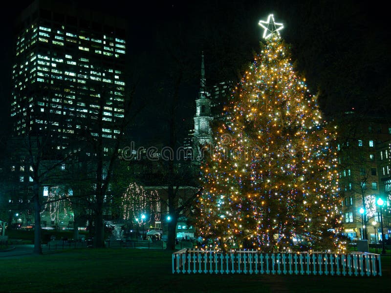 Árvore de Natal de Boston foto de stock Árvore de Natal de Boston foto de stock