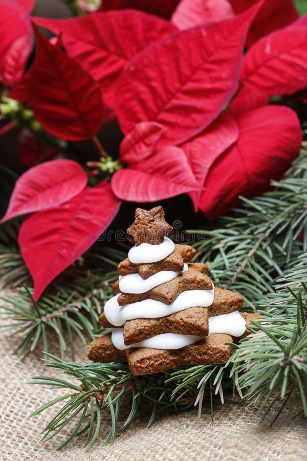 Árvore de Natal do pão-de-espécie. Sobremesa deliciosa do xmas imagens de stock Árvore de Natal do pão-de-espécie. Sobremesa deliciosa do xmas imagens de stock
