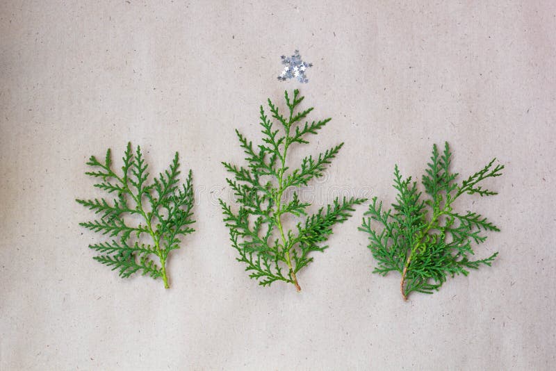 A árvore de Natal feita de ramos do thuja e as decorações star no fundo rústico Conceito do ano novo Configuração lisa, vista sup fotos de stock A árvore de Natal feita de ramos do thuja e as decorações star no fundo rústico Conceito do ano novo Configuração lisa, vista sup fotos de stock