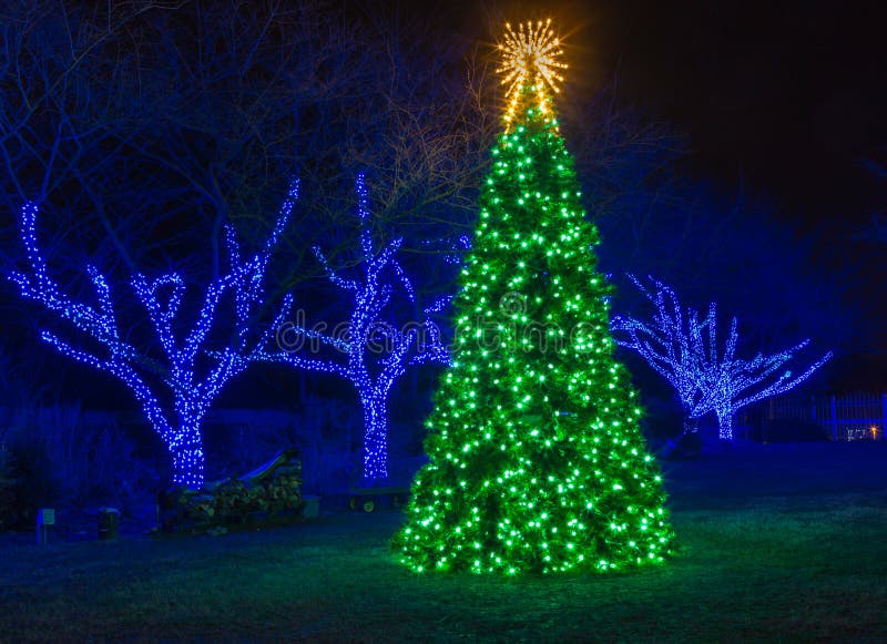 Árvore de Natal iluminada exterior