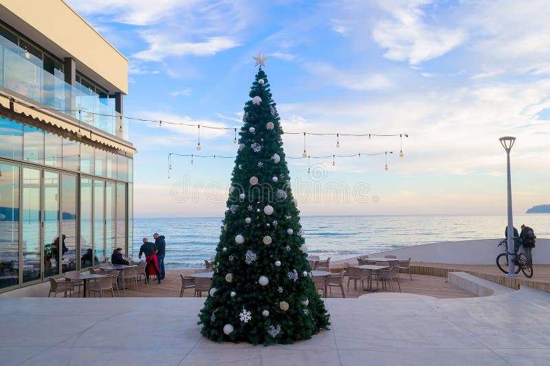 Árvore de Natal na entrada do café da praia do beira-mar Árvore do ano novo decorada com uma estrela do ouro e umas bolas de prat imagens de stock Árvore de Natal na entrada do café da praia do beira-mar Árvore do ano novo decorada com uma estrela do ouro e umas bolas de prat imagens de stock