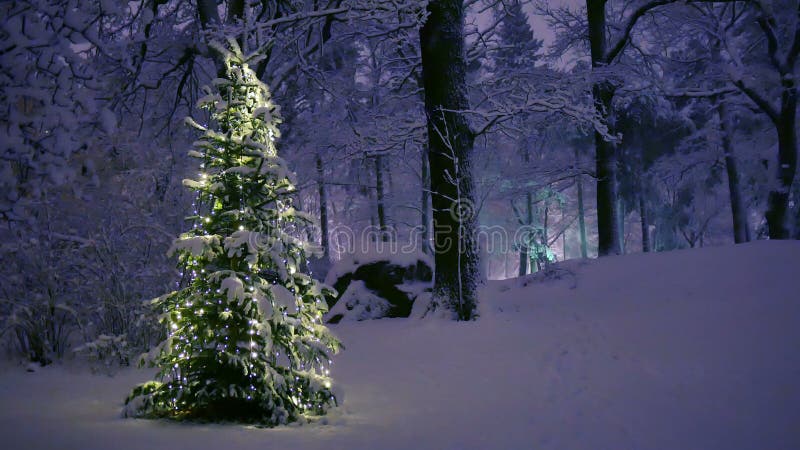 Árvore de Natal na neve