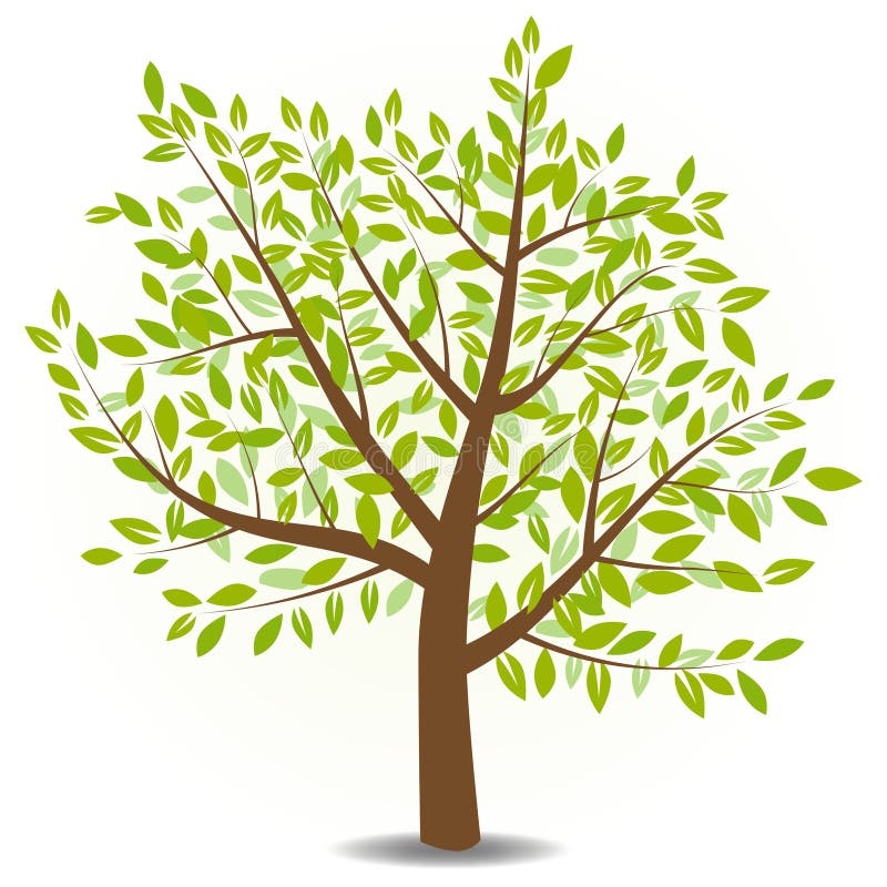 Árvore vetorial ilustração do vetor