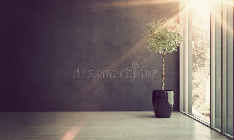 Árvore em pasta pela grande janela com luz solar brilhante