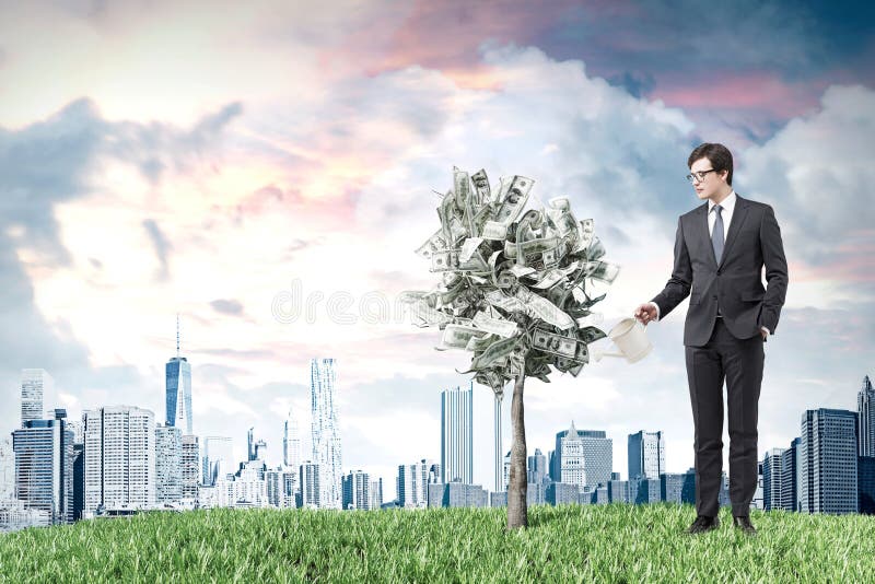 Árvore em um potenciômetro, prado do dólar, cidade, homem rendição 3d imagem de stock royalty free Árvore em um potenciômetro, prado do dólar, cidade, homem rendição 3d imagem de stock royalty free