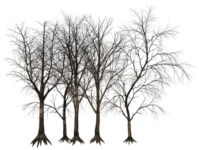 Árvore inoperante, ilustração das árvores