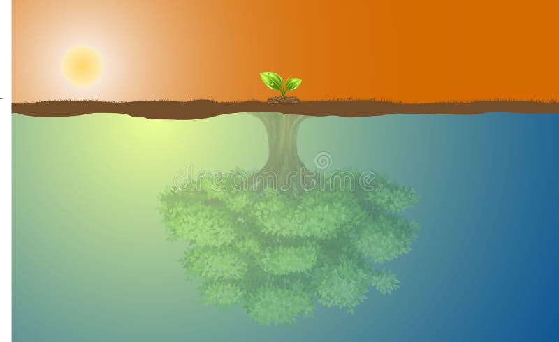 Árvore pequena e reflexão grande ilustração stock Árvore pequena e reflexão grande ilustração stock