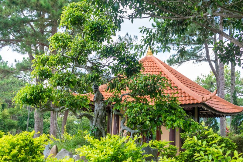 Árvore tropical além à construção com telhas e o telhado chinês vermelho em Vietname fotos de stock Árvore tropical além à construção com telhas e o telhado chinês vermelho em Vietname fotos de stock