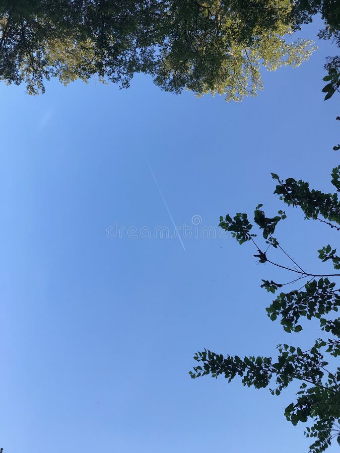 Árvores bonitas na cidade de Storkow em Alemanha foto de stock Árvores bonitas na cidade de Storkow em Alemanha foto de stock