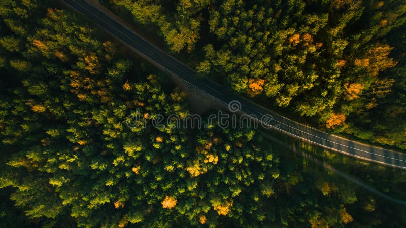 Árvores da estrada e do outono da montanha acima da natureza amarela, vermelha e verde da floresta, vista superior alta Tiro aére