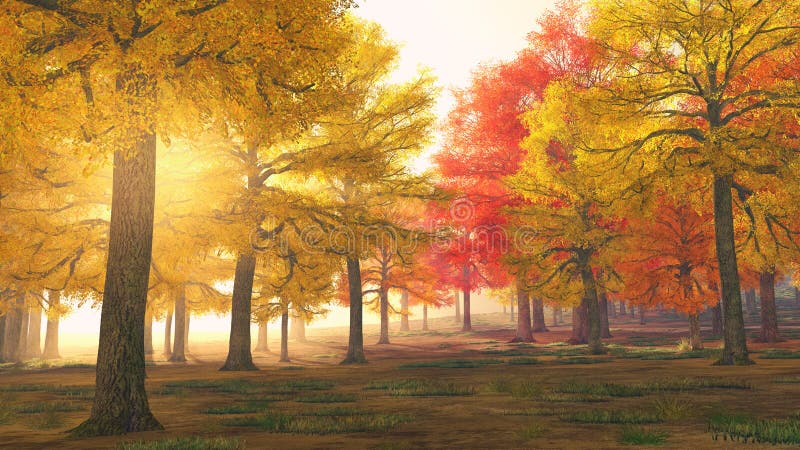 Árvores de floresta do outono em cores mágicas