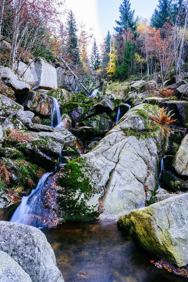árvores de outono com folhas caídas e riachos imagens de stock