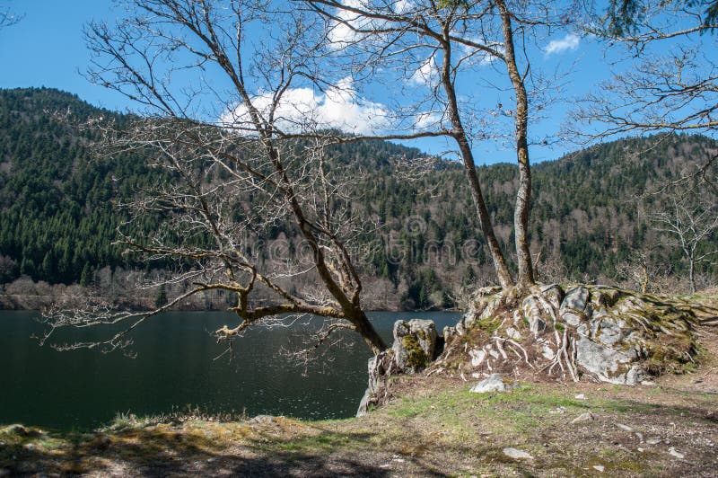 Árvores e rochas no lago de Kruth com nuvem bonita fotografia de stock royalty free