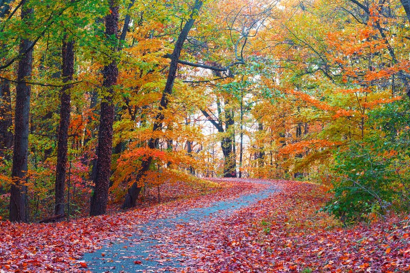 National Arboretum of Washington DC in autumn. National Arboretum of Washington DC in autumn.
