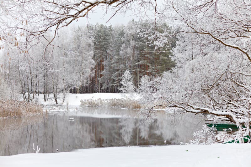 Árvores na neve e o lago Janeiro fotos de stock