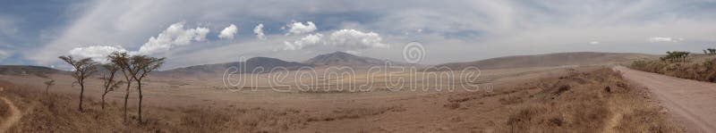 Panoramic view of trees in the Wilderness of the Serengati in Tanzania. Panoramic view of trees in the Wilderness of the Serengati in Tanzania.