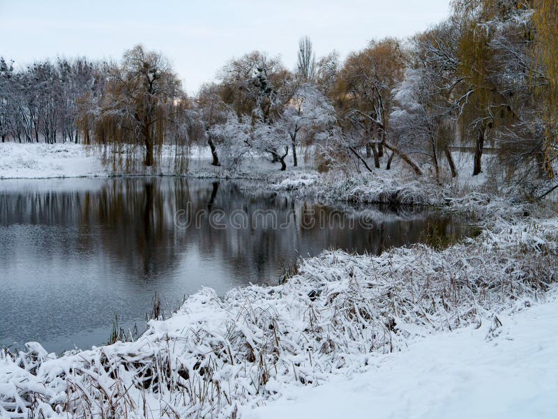 Árvores nevados do inverno ao longo do banco do rio na névoa fria do inverno fino no por do sol - paisagem pitoresca do inverno f fotos de stock Árvores nevados do inverno ao longo do banco do rio na névoa fria do inverno fino no por do sol - paisagem pitoresca do inverno f fotos de stock