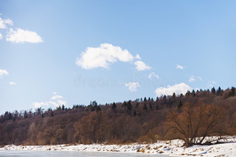 Árvores no banco de um rio congelado no inverno contra o céu azul imagem de stock Árvores no banco de um rio congelado no inverno contra o céu azul imagem de stock