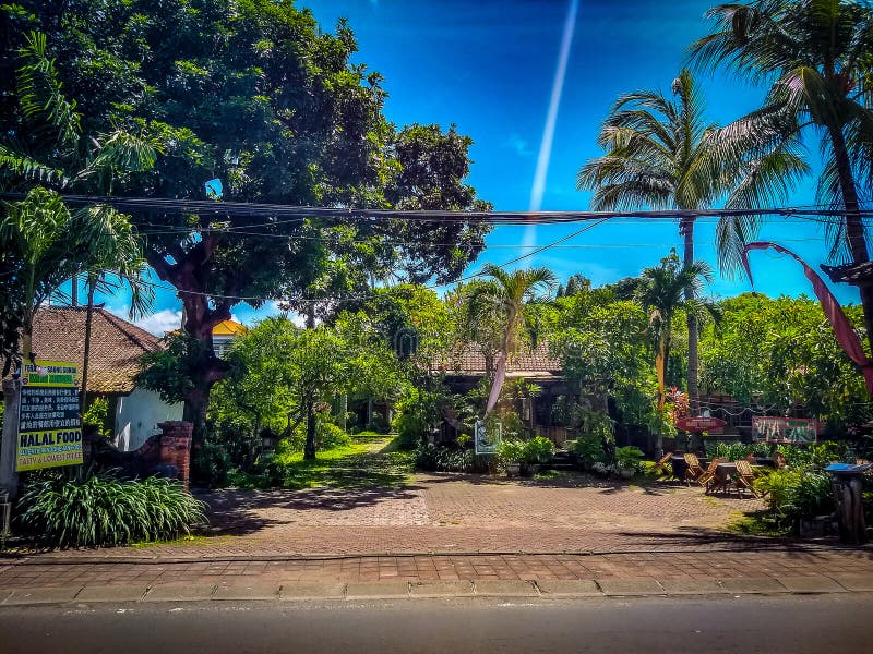 Árvores verdes por toda parte em Bali Indonésia Beleza natural de Bali fotografia de stock Árvores verdes por toda parte em Bali Indonésia Beleza natural de Bali fotografia de stock