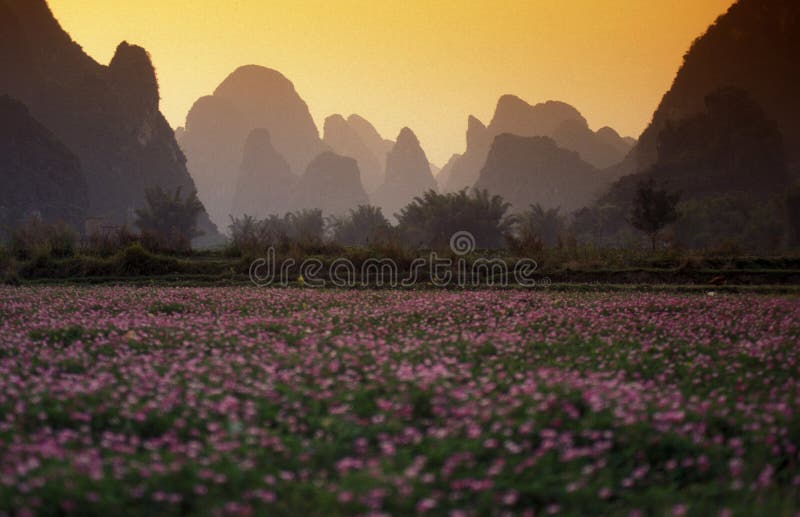 The landscape at the Li River near Yangshou near the city of Guilin in the Province of Guangxi in china in east asia. The landscape at the Li River near Yangshou near the city of Guilin in the Province of Guangxi in china in east asia.