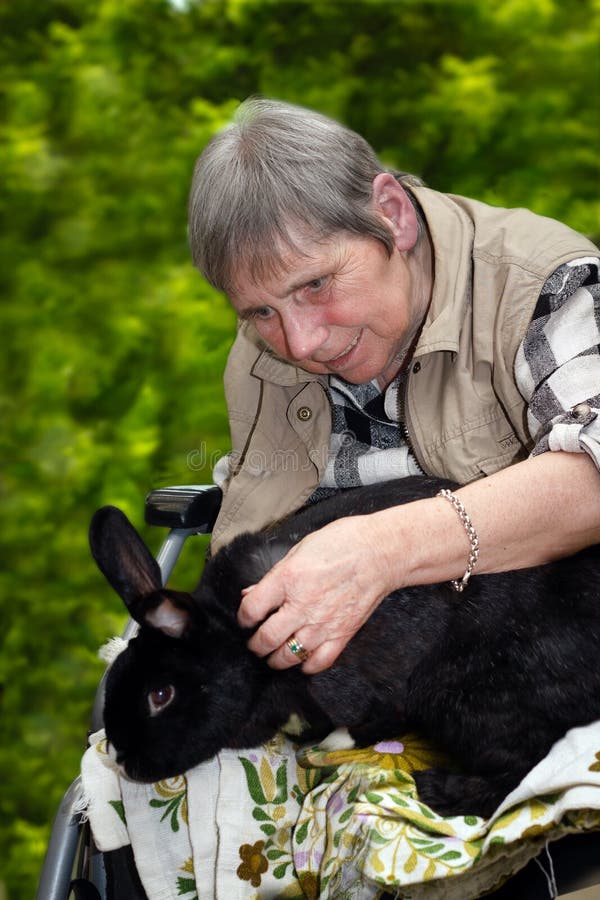 Senior woman in a wheelchair sitting receives zoo- therapy with a rabbit. Senior woman in a wheelchair sitting receives zoo- therapy with a rabbit