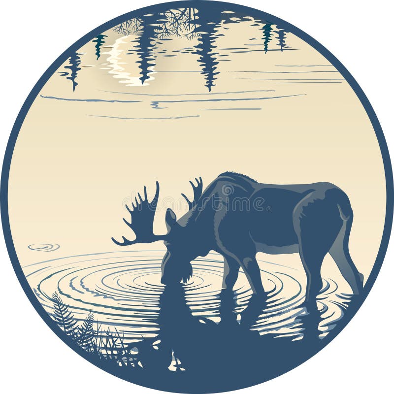 Älg i dricksvattnet royaltyfri illustrationer Älg i dricksvattnet royaltyfri illustrationer