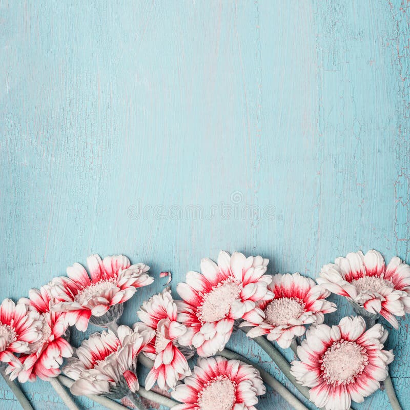 Älskvärda blommor på ljus - blå sjaskig chic bakgrund, blom- gräns, bästa sikt, quadrate Idérik orientering
