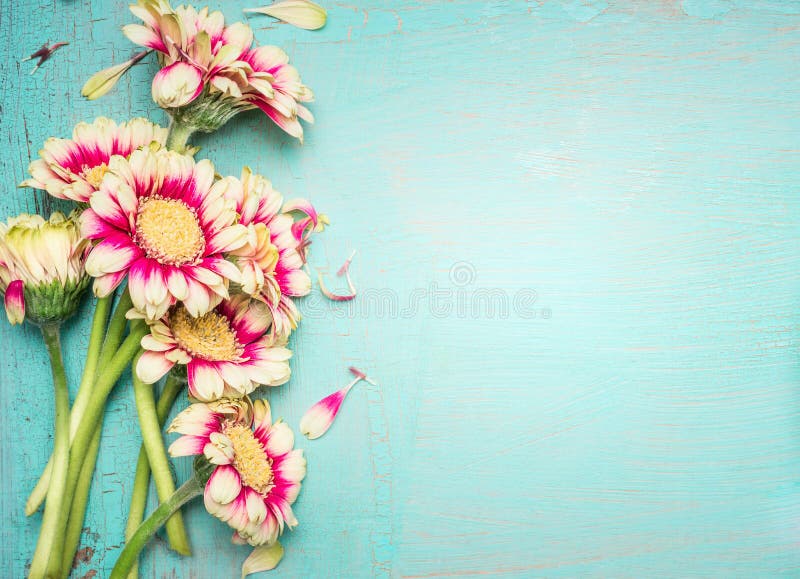 Älskvärda blommor på sjaskig chic bakgrund för turkos