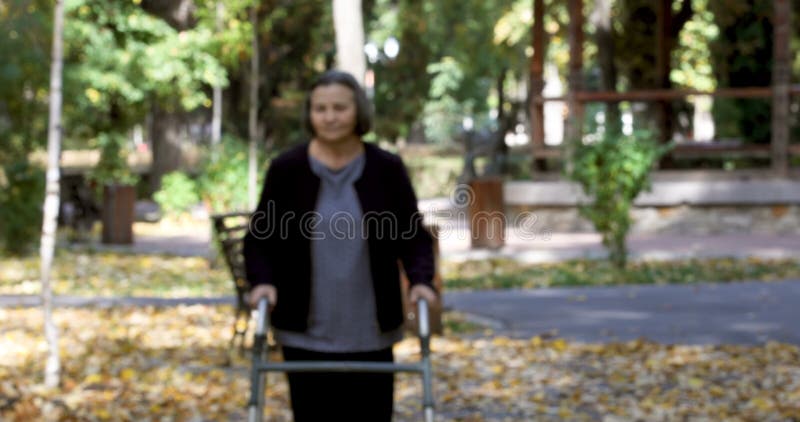 Ältere Frau, die mit Wanderer im Herbstpark geht