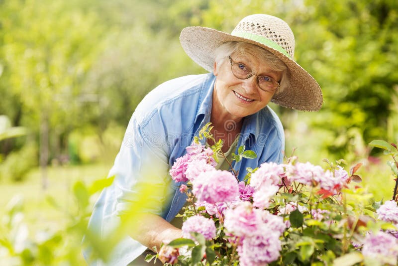 Ältere Frau im Garten stockfoto Ältere Frau im Garten stockfoto