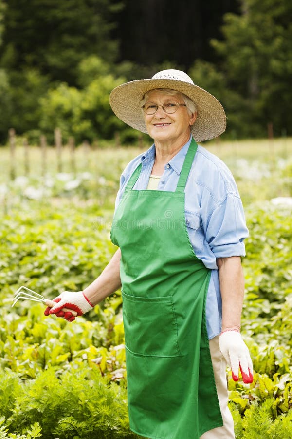 Ältere Frau im Garten stockbild. Bild von handschuh, ausrüstung 29337075
