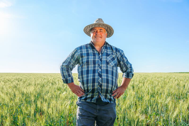 Ältere Landwirte in Grünflächen lizenzfreie stockfotos