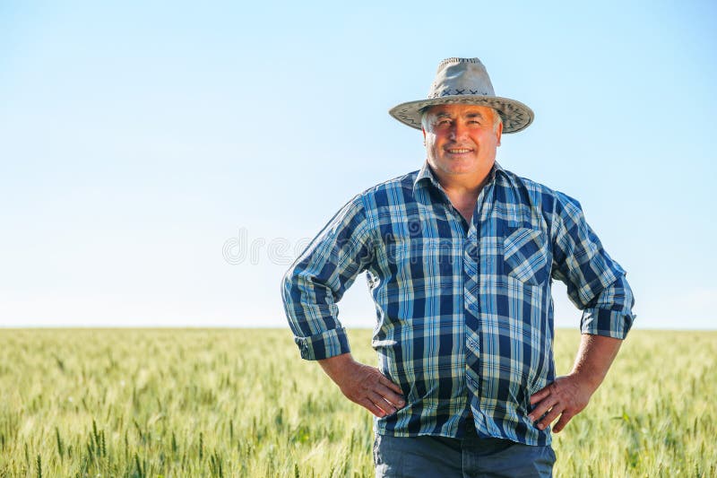 Ältere Landwirte in Grünflächen stockfoto