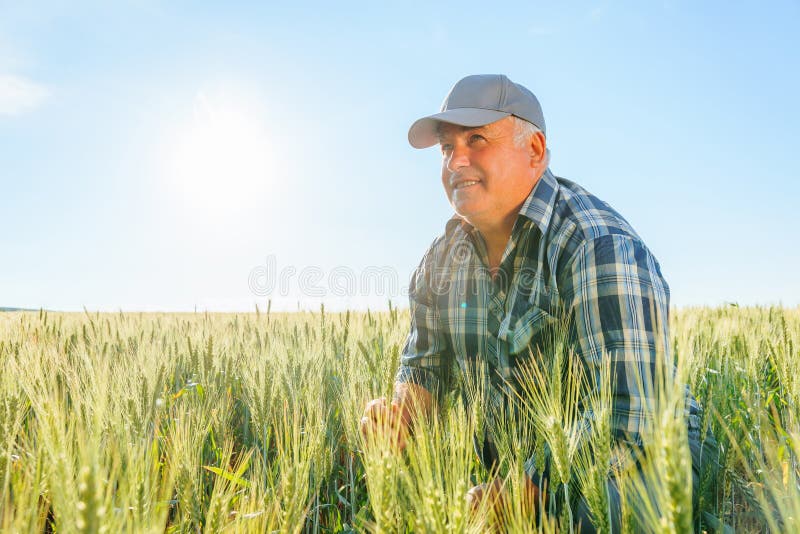 Ältere männliche Farmer in der Kappe Blick in die Entfernung mit pensiver Gesicht stockfotografie