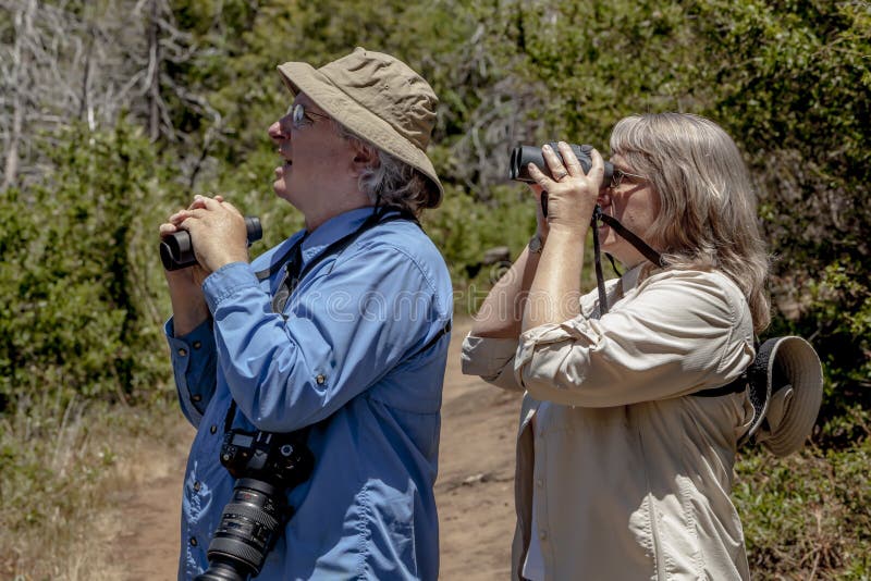 Ältere Paare, die im Holz auf Sunny Day wandern und Birdwatching
