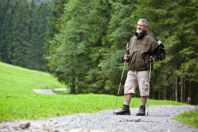 Älterer Mann Nordic, der draußen geht stockbild Älterer Mann Nordic, der draußen geht stockbild