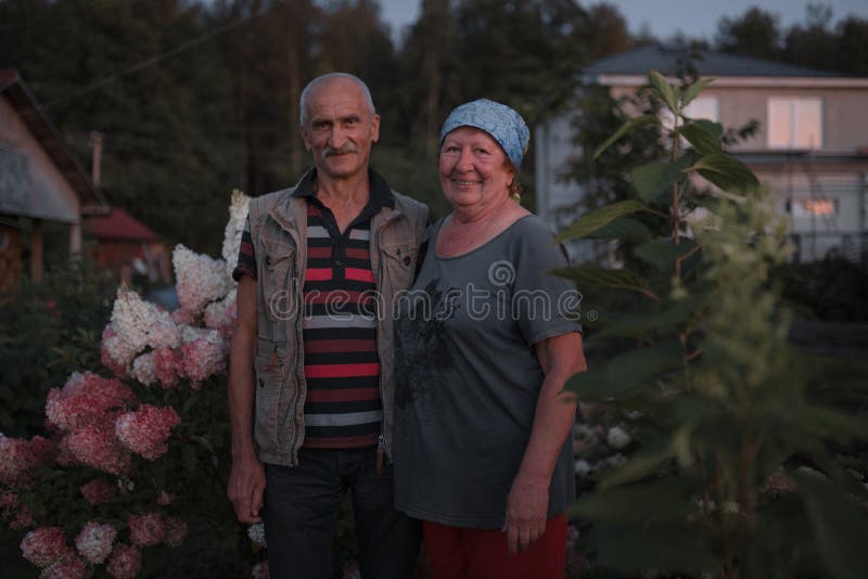 Älteres Ehepaar ist glücklich und umarmt während violettem rosa Sonnenuntergang zwischen langen Hydrangea-Blumen - Alte und liebe lizenzfreie stockfotografie Älteres Ehepaar ist glücklich und umarmt während violettem rosa Sonnenuntergang zwischen langen Hydrangea-Blumen - Alte und liebe lizenzfreie stockfotografie
