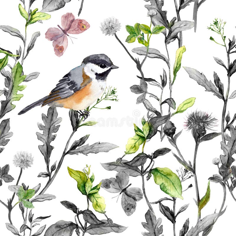 Ängblommor, fågel, fjärilar Sömlös blom- modell, svart-vit färger vattenfärg royaltyfri illustrationer