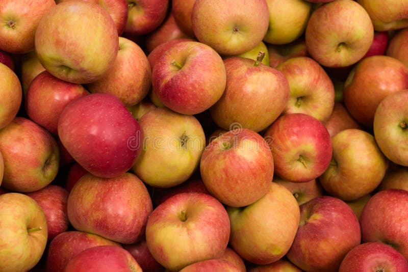 Äpfel lizenzfreie stockfotografie Äpfel lizenzfreie stockfotografie