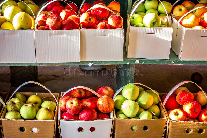 Äpfel im Korb auf Bauernhofstand stockfotos