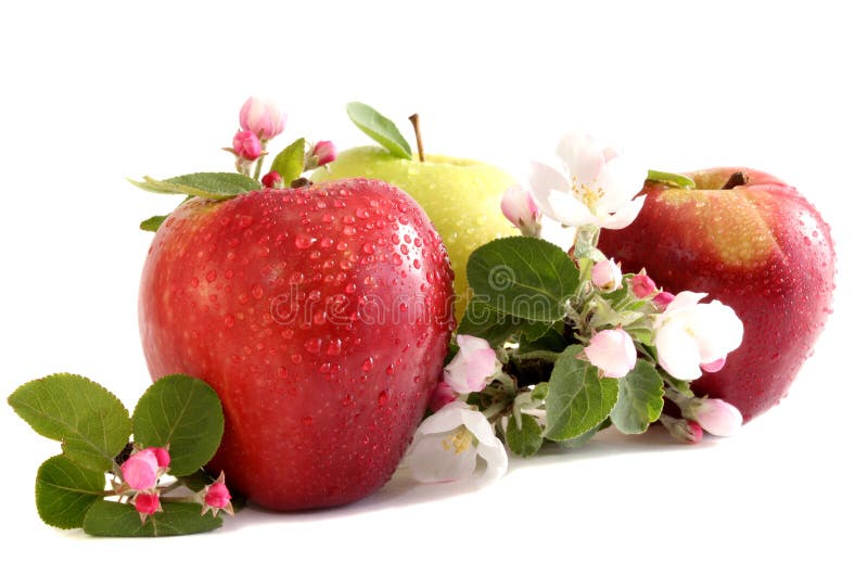Äpfel und Blumen lizenzfreie stockfotos Äpfel und Blumen lizenzfreie stockfotos