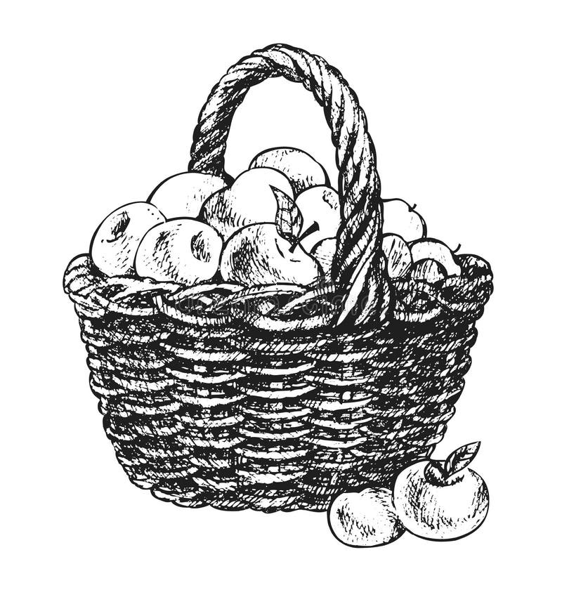 äpplekorgteckning vektor illustrationer äpplekorgteckning vektor illustrationer
