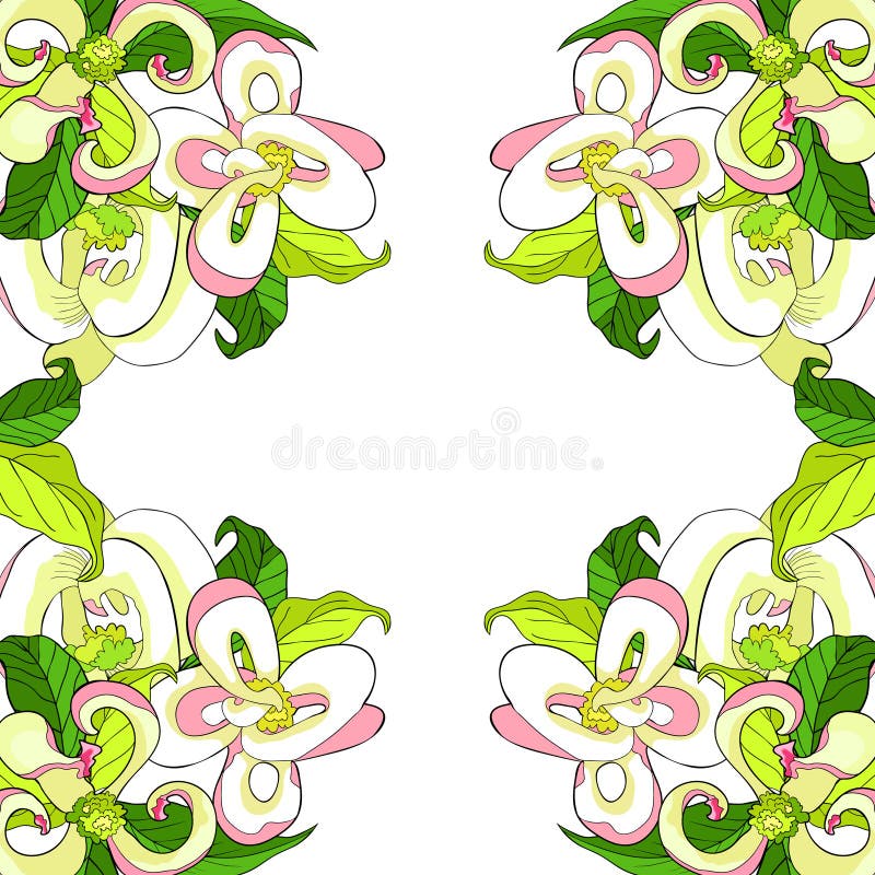Är den Florida skogskornellblomman också vektor för coreldrawillustration stock illustrationer Är den Florida skogskornellblomman också vektor för coreldrawillustration stock illustrationer
