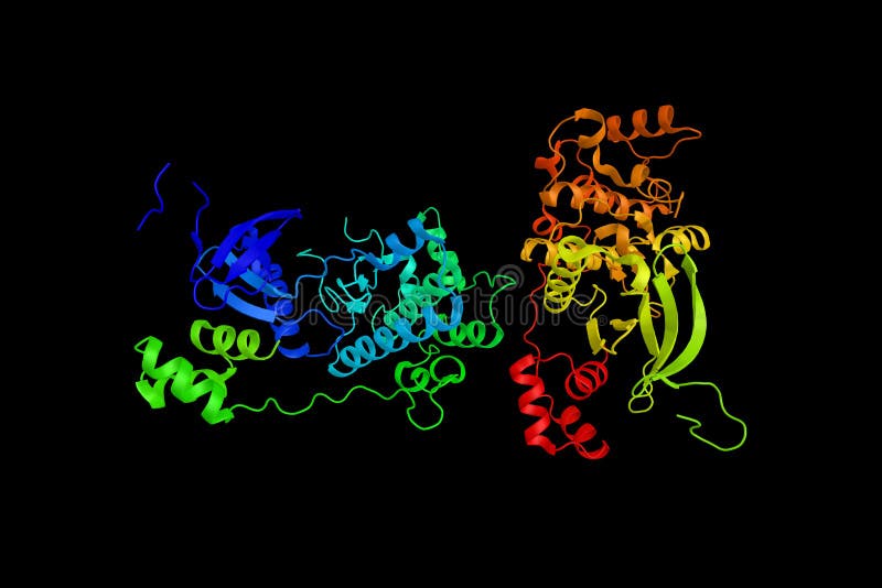 Är frändskap-reglerande kinase 3 för MAP/microtubule ett enzym som I royaltyfri illustrationer