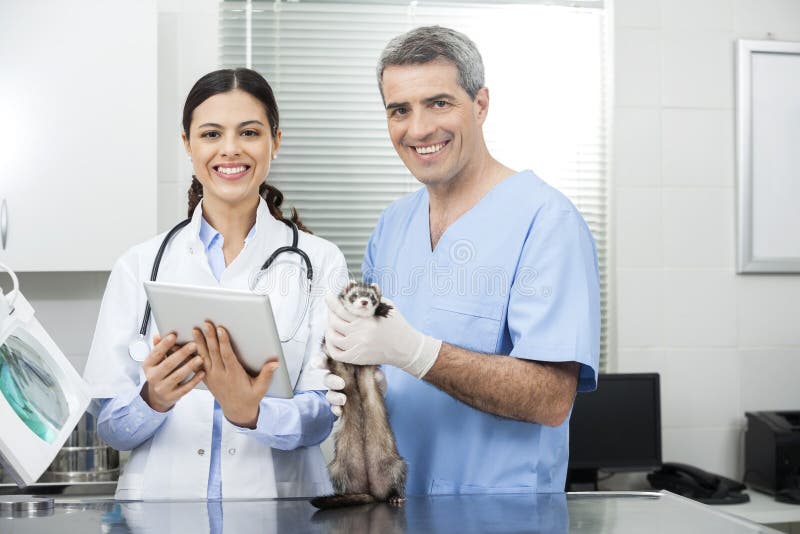 Ärztin With Tablet Computer durch den Mitarbeiter, der Wiesel hält lizenzfreie stockfotografie Ärztin With Tablet Computer durch den Mitarbeiter, der Wiesel hält lizenzfreie stockfotografie